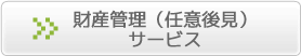 YǗiCӌ㌩jT[rX